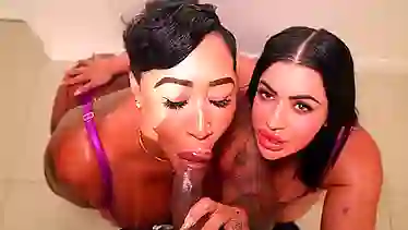 Африканский курьер трахается по-чёрному — две жопастые негритянки хотят секса